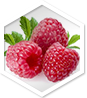 Raspberry Ketone MD ingredient 1